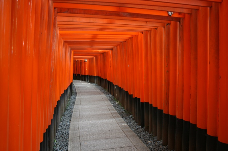 fazenda japan interior 5